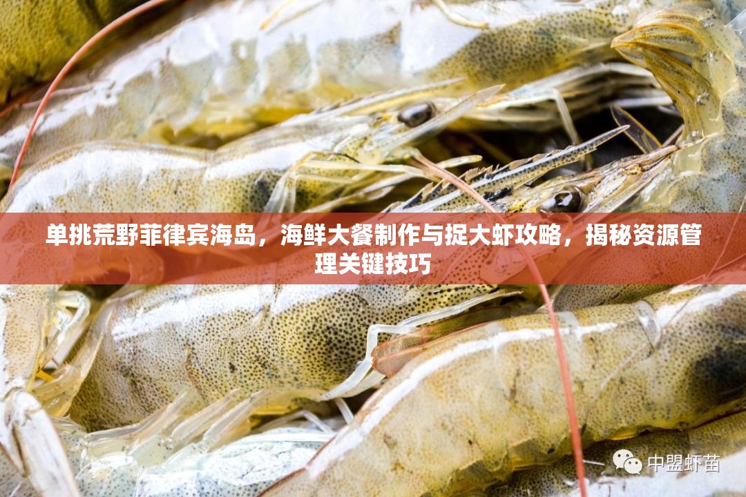 单挑荒野菲律宾海岛，海鲜大餐制作与捉大虾攻略，揭秘资源管理关键技巧