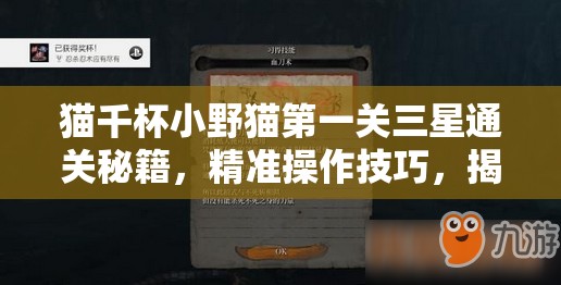 猫千杯小野猫第一关三星通关秘籍，精准操作技巧，揭秘金酒满杯的完美攻略