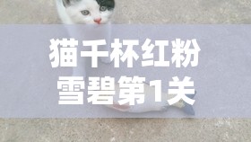 猫千杯红粉雪碧第1关红葡萄酒三星过关技巧，深度解析与攻略指南