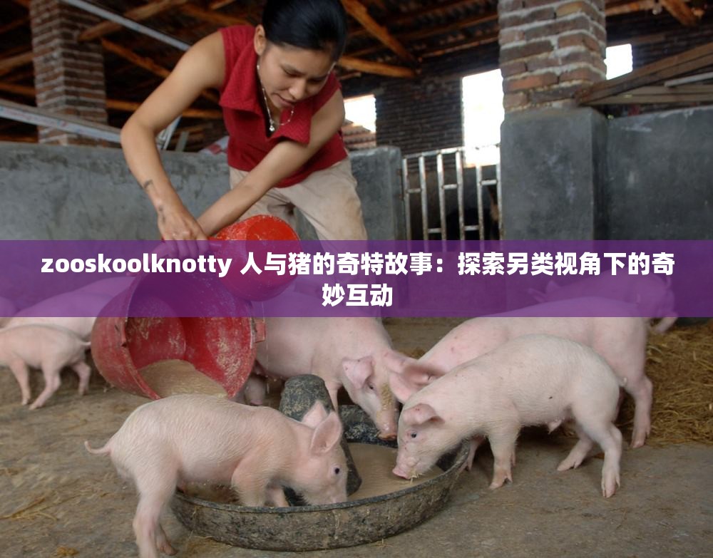 zooskoolknotty 人与猪的奇特故事：探索另类视角下的奇妙互动