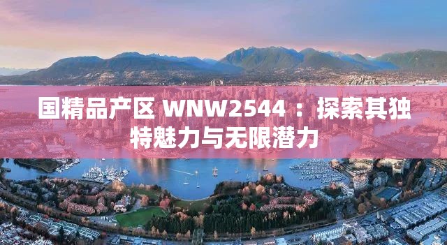 国精品产区 WNW2544 ：探索其独特魅力与无限潜力