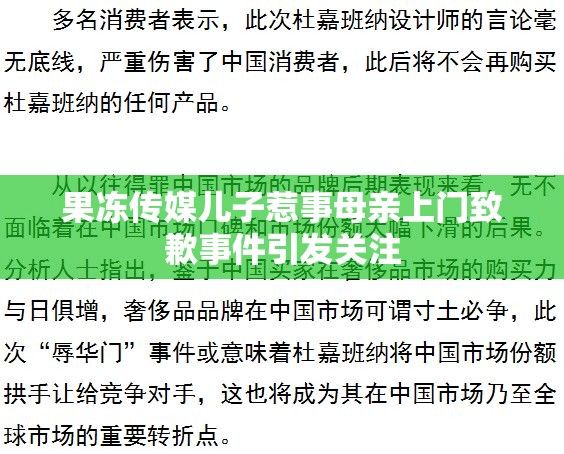 果冻传媒儿子惹事母亲上门致歉事件引发关注