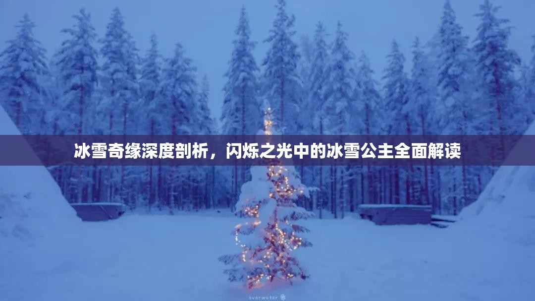 冰雪奇缘深度剖析，闪烁之光中的冰雪公主全面解读