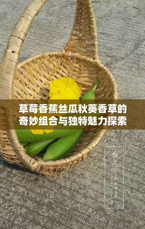 草莓香蕉丝瓜秋葵香草的奇妙组合与独特魅力探索