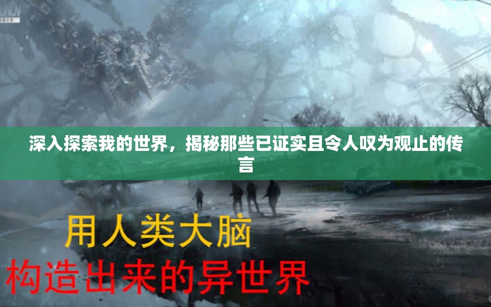 深入探索我的世界，揭秘那些已证实且令人叹为观止的传言