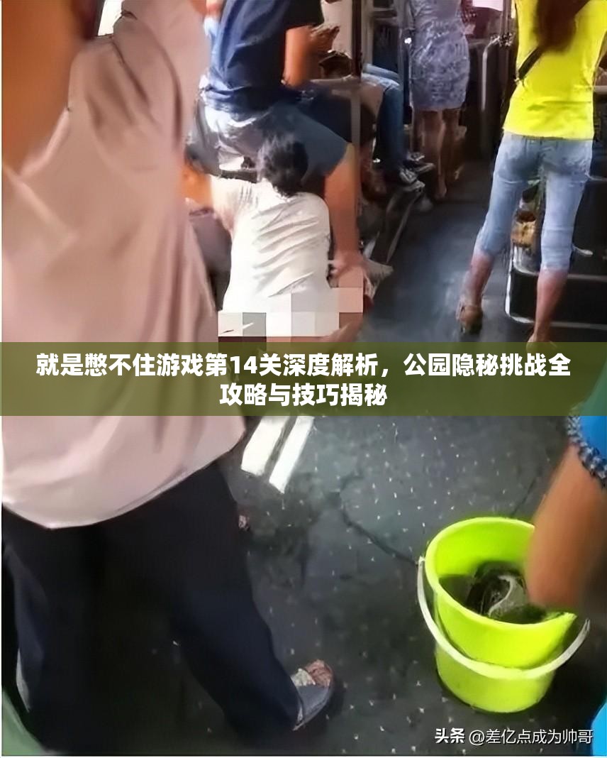 就是憋不住游戏第14关深度解析，公园隐秘挑战全攻略与技巧揭秘