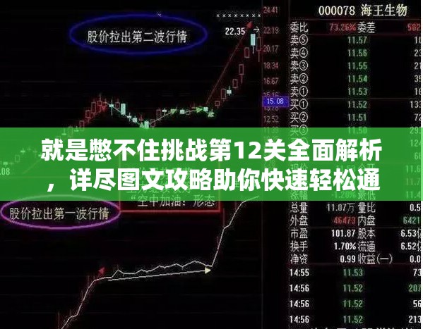 就是憋不住挑战第12关全面解析，详尽图文攻略助你快速轻松通关秘籍