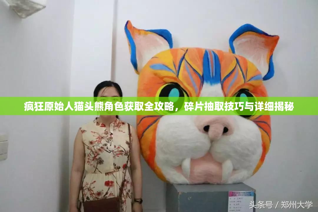 疯狂原始人猫头熊角色获取全攻略，碎片抽取技巧与详细揭秘