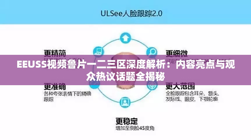 EEUSS视频鲁片一二三区深度解析：内容亮点与观众热议话题全揭秘