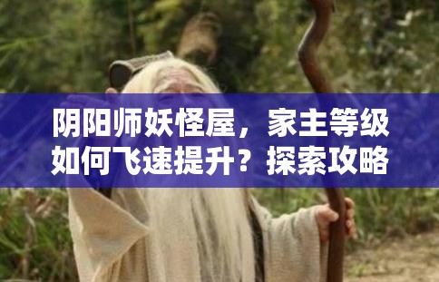 阴阳师妖怪屋，家主等级如何飞速提升？探索攻略演变史之谜