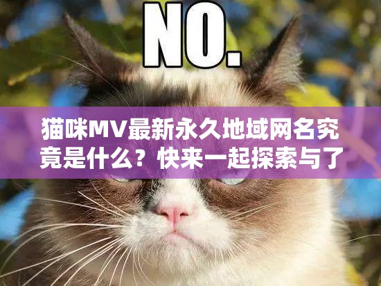 猫咪MV最新永久地域网名究竟是什么？快来一起探索与了解