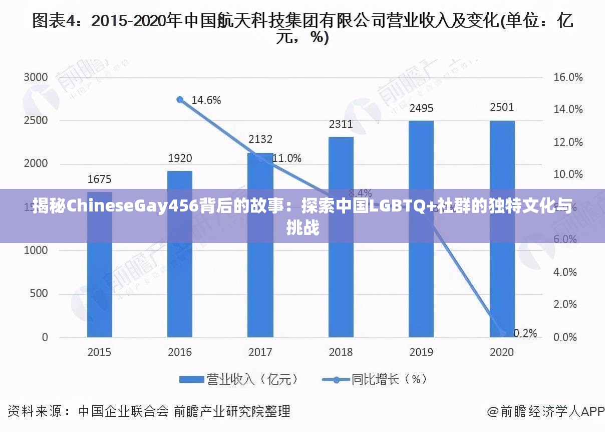 揭秘ChineseGay456背后的故事：探索中国LGBTQ+社群的独特文化与挑战