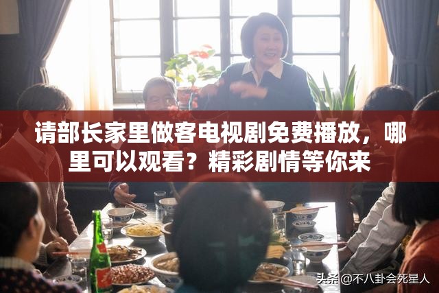 请部长家里做客电视剧免费播放，哪里可以观看？精彩剧情等你来