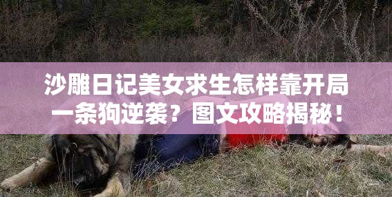 沙雕日记美女求生怎样靠开局一条狗逆袭？图文攻略揭秘！