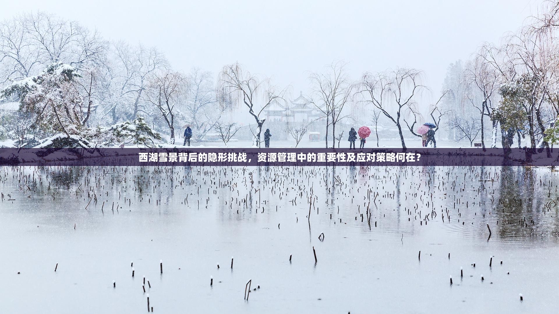 西湖雪景背后的隐形挑战，资源管理中的重要性及应对策略何在？