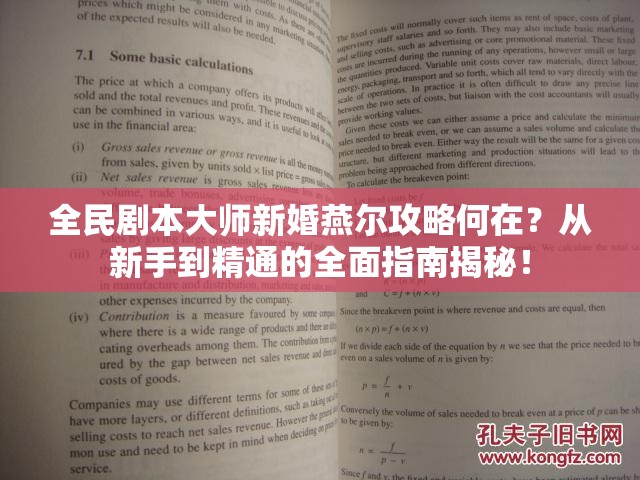 全民剧本大师新婚燕尔攻略何在？从新手到精通的全面指南揭秘！