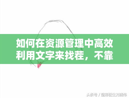 如何在资源管理中高效利用文字来找茬，不靠谱手术3图文攻略的疑问解析？