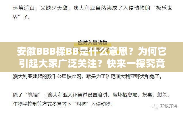 安徽BBB揉BB是什么意思？为何它引起大家广泛关注？快来一探究竟