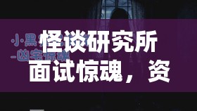 怪谈研究所面试惊魂，资源管理重要性及高效利用策略揭秘？