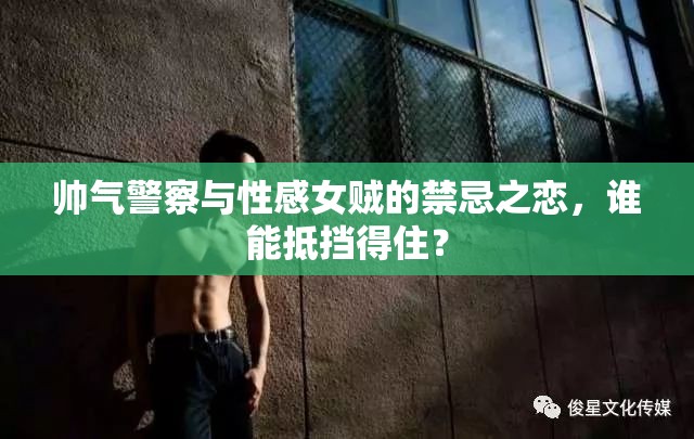 帅气警察与性感女贼的禁忌之恋，谁能抵挡得住？