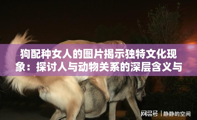 狗配种女人的图片揭示独特文化现象：探讨人与动物关系的深层含义与现代社会视角