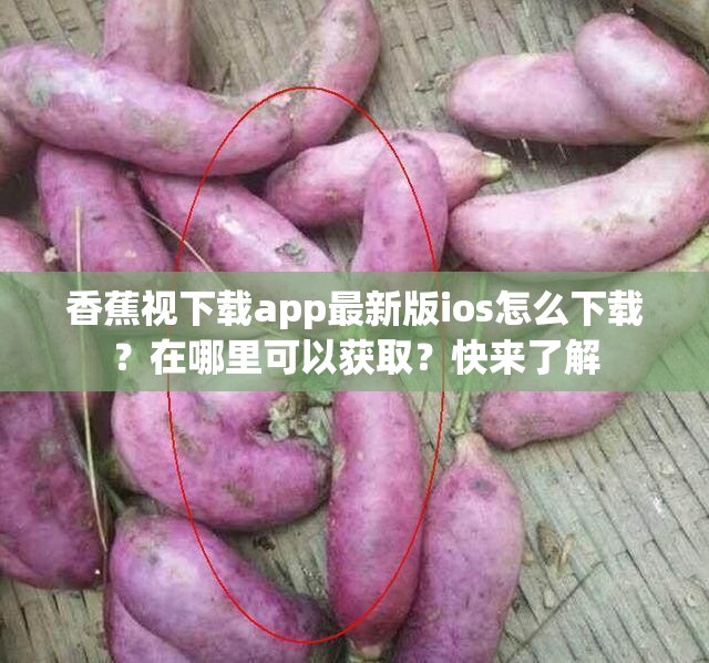 香蕉视下载app最新版ios怎么下载？在哪里可以获取？快来了解