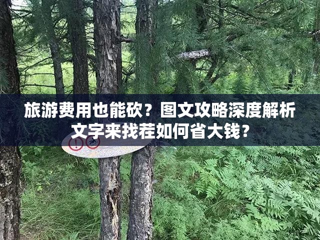 旅游费用也能砍？图文攻略深度解析文字来找茬如何省大钱？