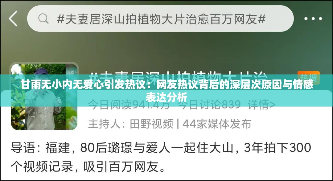 甘雨无小内无爱心引发热议：网友热议背后的深层次原因与情感表达分析