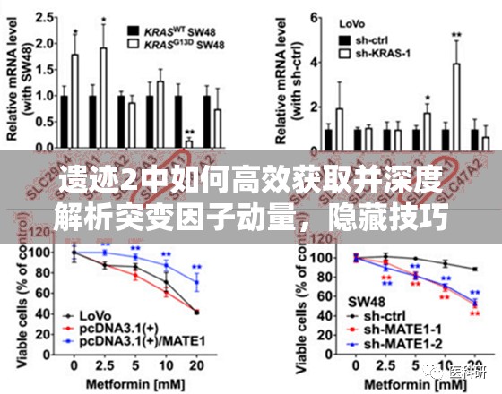 遗迹2中如何高效获取并深度解析突变因子动量，隐藏技巧揭秘？