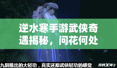 逆水寒手游武侠奇遇揭秘，问花何处任务如何完美通关？