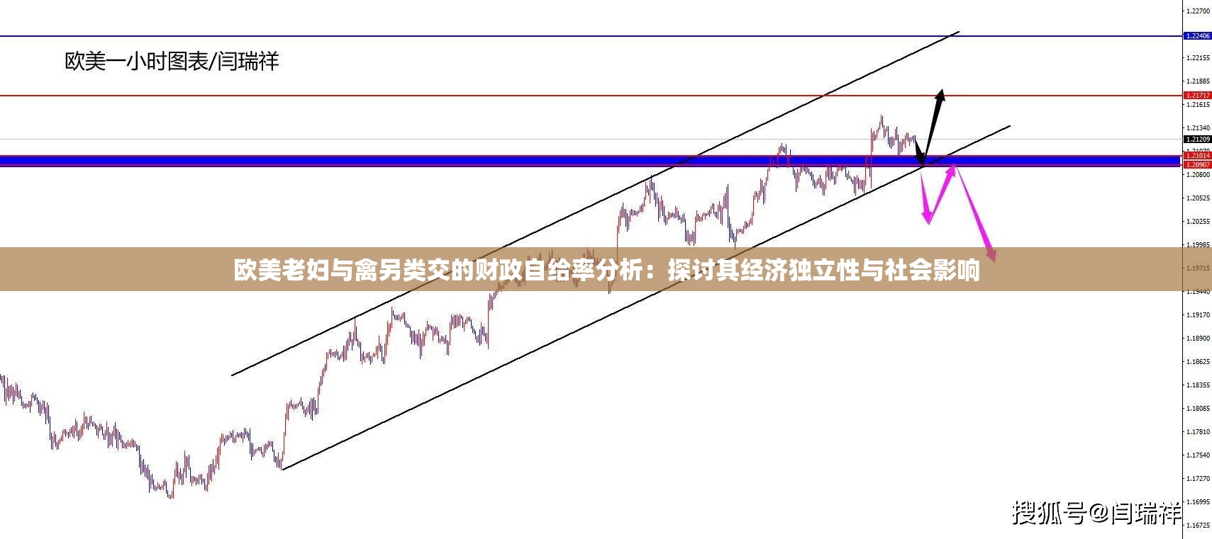 欧美老妇与禽另类交的财政自给率分析：探讨其经济独立性与社会影响