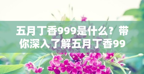 五月丁香999是什么？带你深入了解五月丁香999的神秘世界