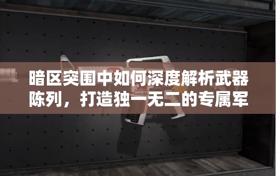 暗区突围中如何深度解析武器陈列，打造独一无二的专属军械库？