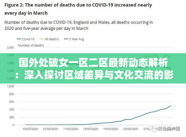 国外处破女一区二区最新动态解析：深入探讨区域差异与文化交流的影响