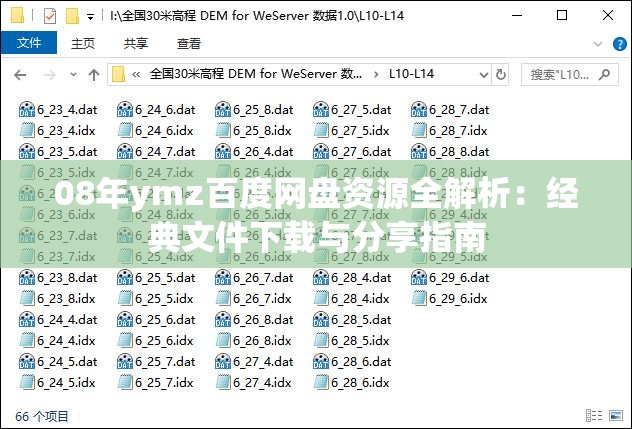 08年ymz百度网盘资源全解析：经典文件下载与分享指南