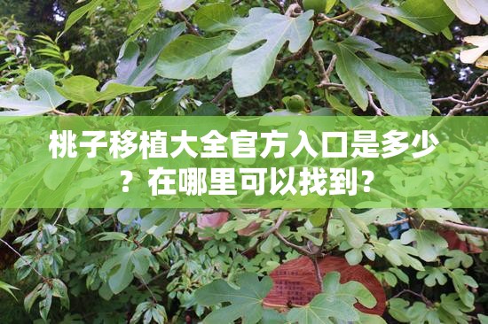 桃子移植大全官方入口是多少？在哪里可以找到？