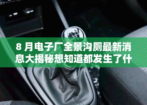 8 月电子厂全景沟厕最新消息大揭秘想知道都发生了什么吗？快来看看