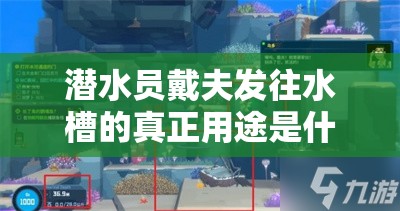 潜水员戴夫发往水槽的真正用途是什么？资源管理深度解析揭秘