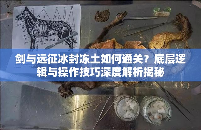 剑与远征冰封冻土如何通关？底层逻辑与操作技巧深度解析揭秘