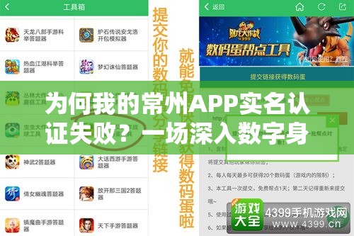 为何我的常州APP实名认证失败？一场深入数字身份认证困境的探索