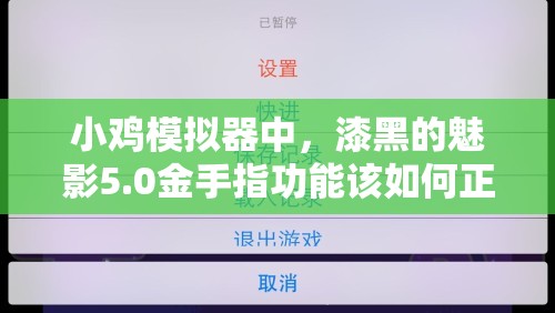 小鸡模拟器中，漆黑的魅影5.0金手指功能该如何正确使用？