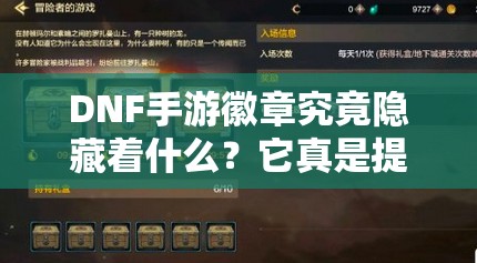 DNF手游徽章究竟隐藏着什么？它真是提升角色属性的秘密武器吗？