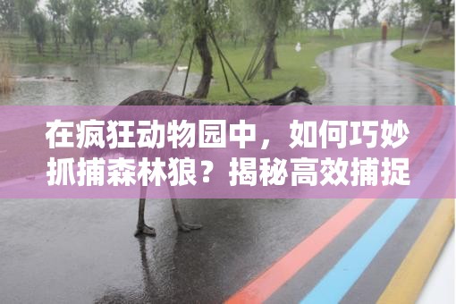 在疯狂动物园中，如何巧妙抓捕森林狼？揭秘高效捕捉技巧与策略