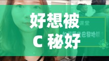 好想被 C 秘好爽？？N？？视频：探索极致快感之旅